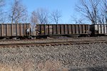 NS 10234